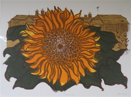 Robert Tavener Sunflower and barns 47 x 62cm, unframed